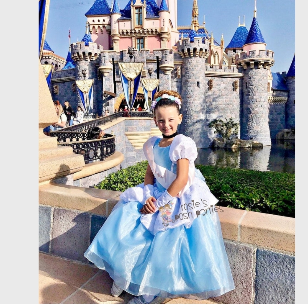 Girl's Custom Princess Cinderella dress